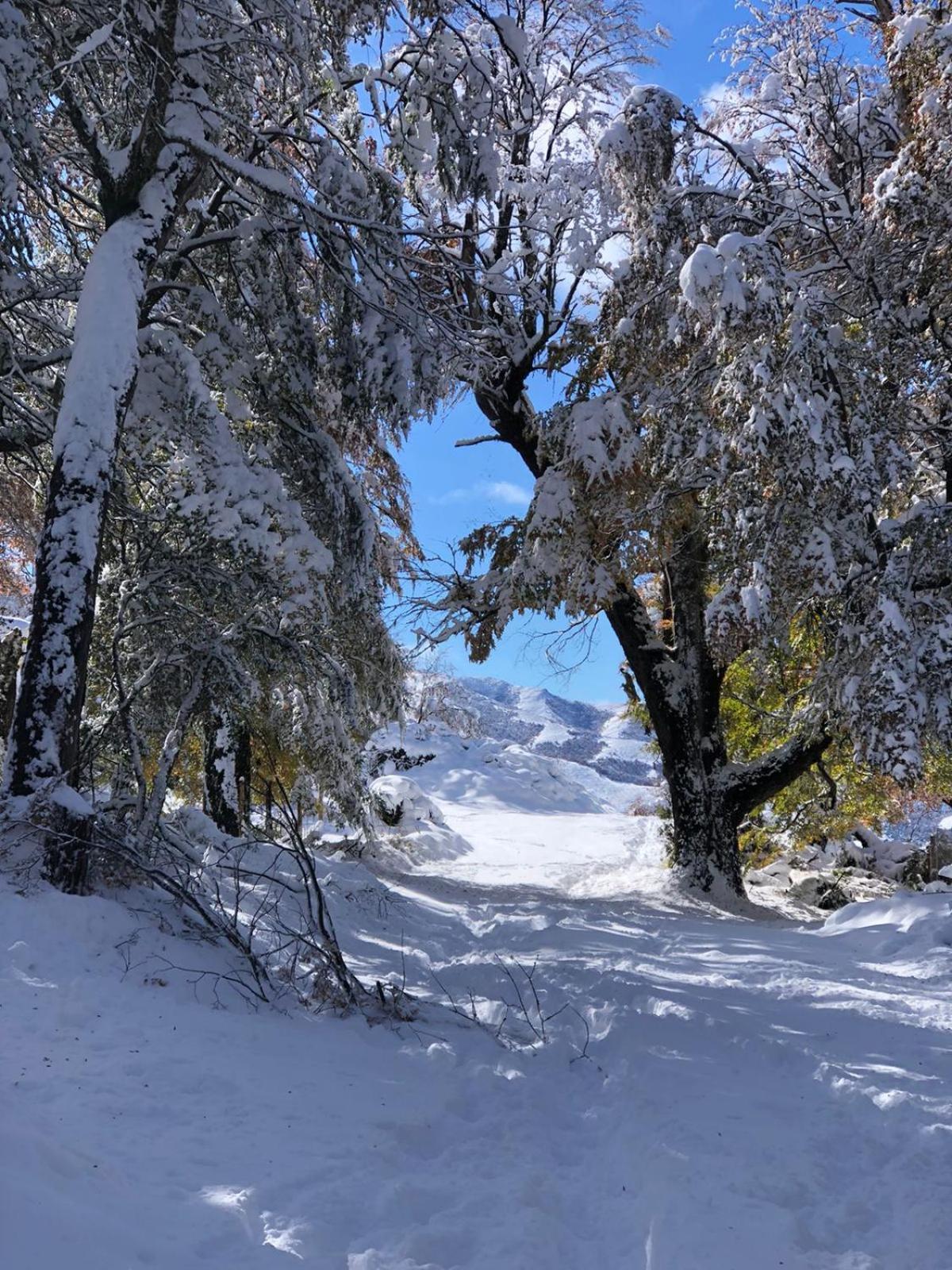 Cabana El Maqui San Martín de los Andes Exterior foto